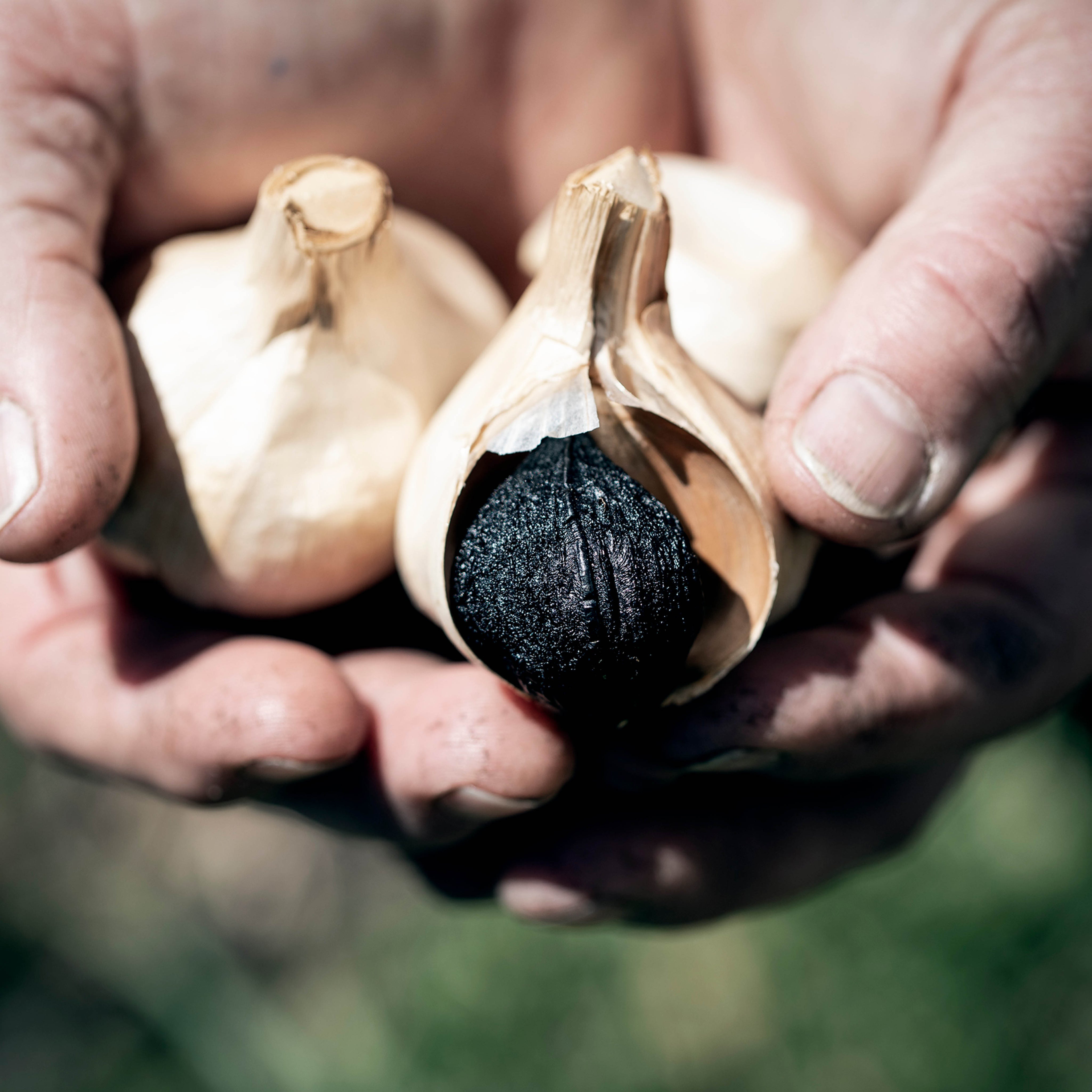 Unveiling the Magic of Black Garlic: A Culinary Masterpiece