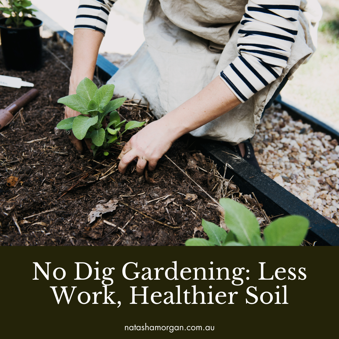 No Dig Gardening: Less Work, Healthier Soil