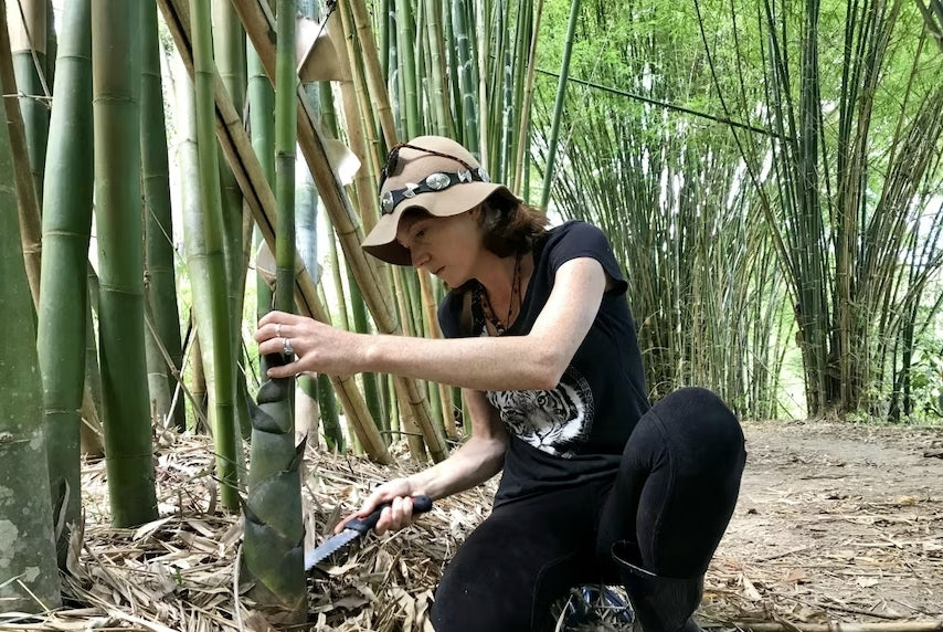 The Aussie farm growing toxic raw bamboo for fabulous food