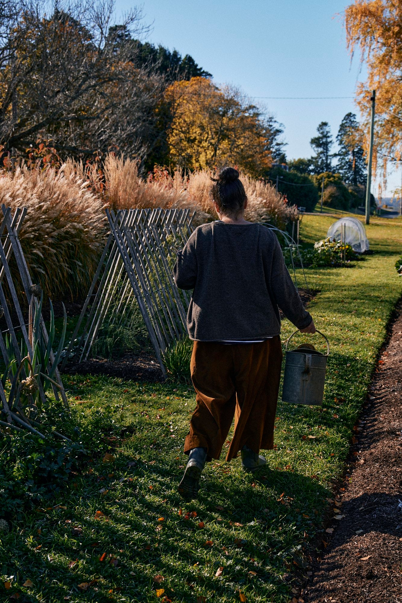 The Natasha Morgan Story: A Journey Rooted in Nature, Creativity, and Community