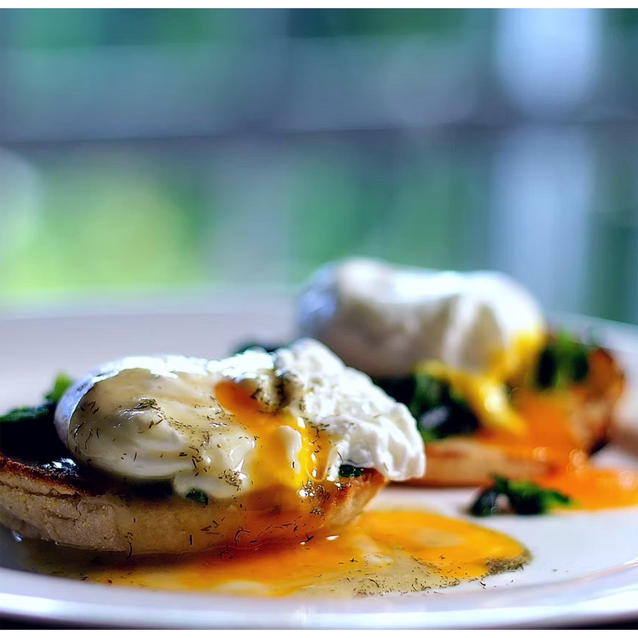 Springmount Eggs Florentine with Garlic & Dill Drizzle