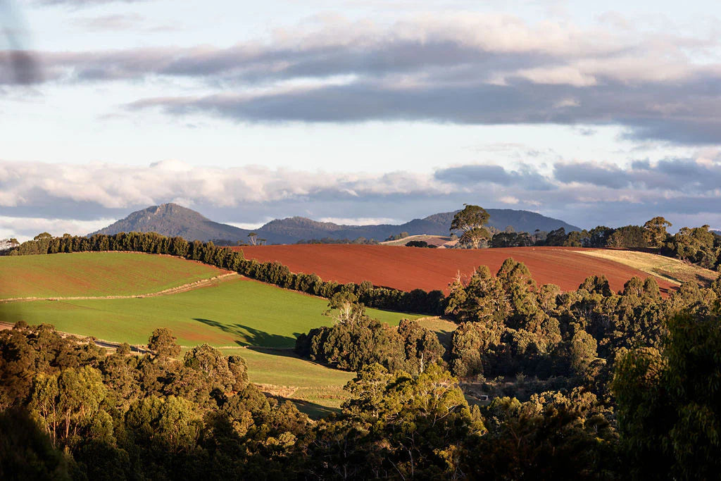 Hellyers Road Distillery