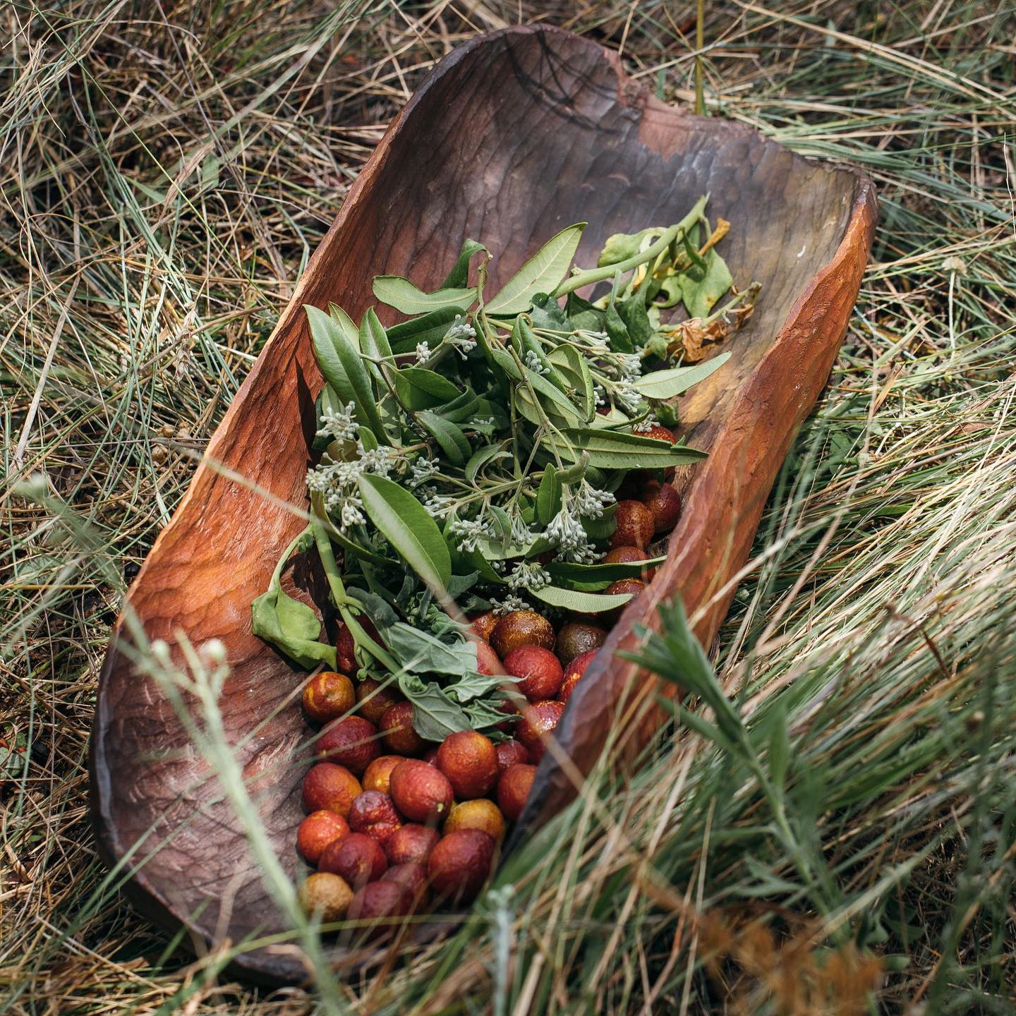 Native Ingredients