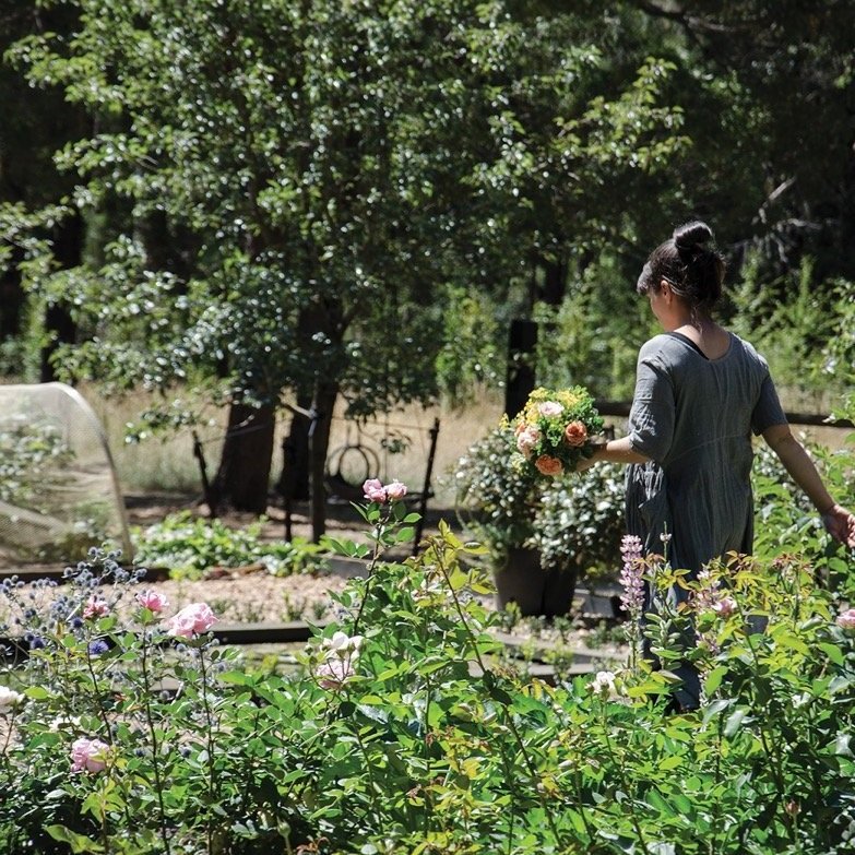 The Healing Power of Gardening: Why It’s Good for You