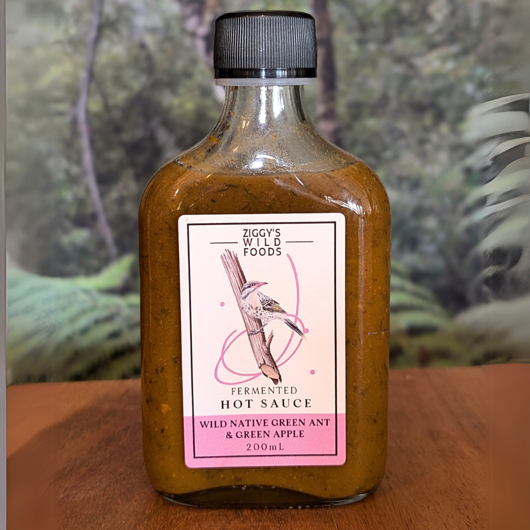 Ziggy's Wild Foods Fermented Hot Sauce, wild native green ant & green apple, 200 mL. Features a bird illustration on the label. Perfect for adventurous spice lovers!