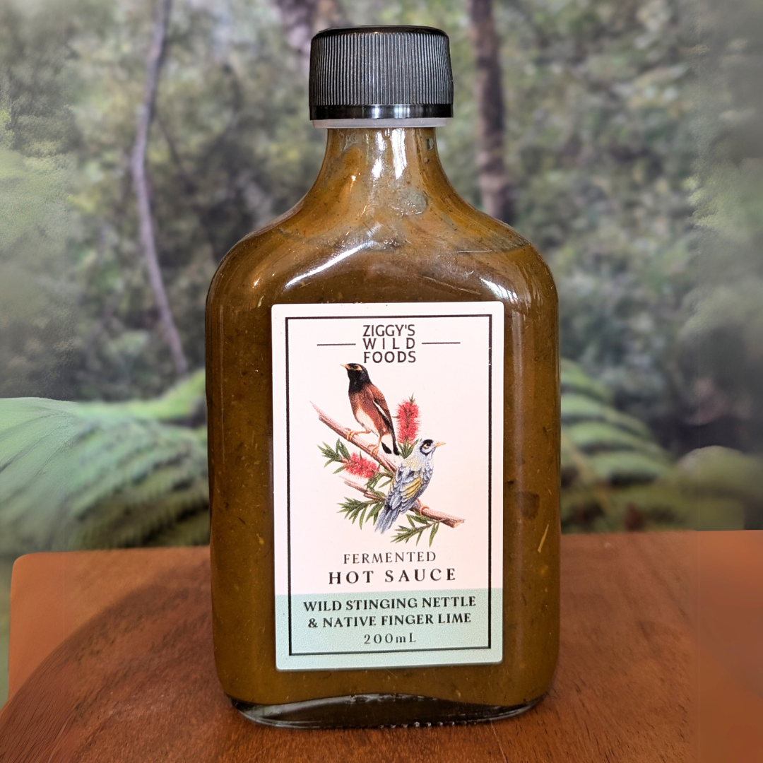 Ziggy's Wildfoods - Australian Fingerlime & Stinging Nettle Fermented Hot Sauce