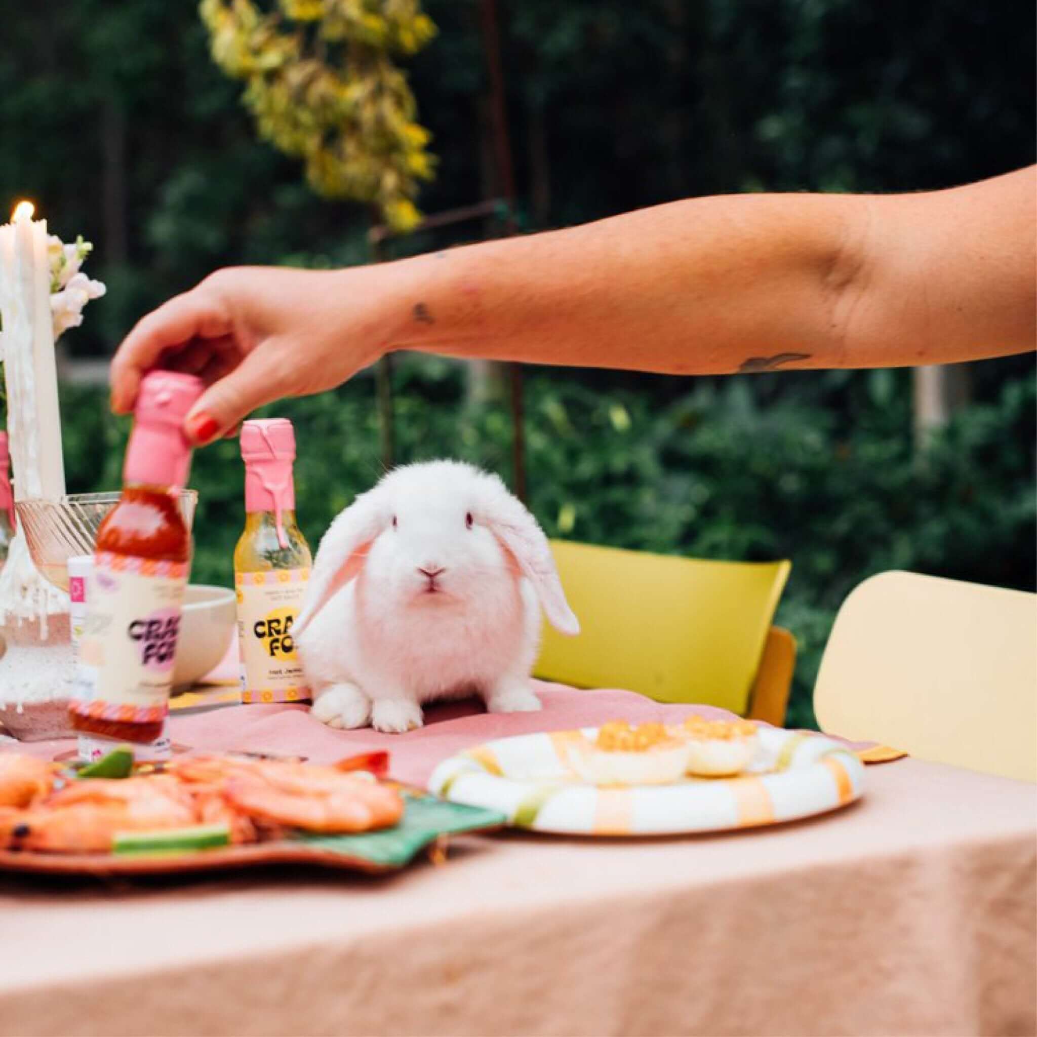 A white rabbit sitting at a meal table with various items, including sauce bottles, a candle, and a person's arm holding a bottle labeled "CRAZY FOODS" outdoors.