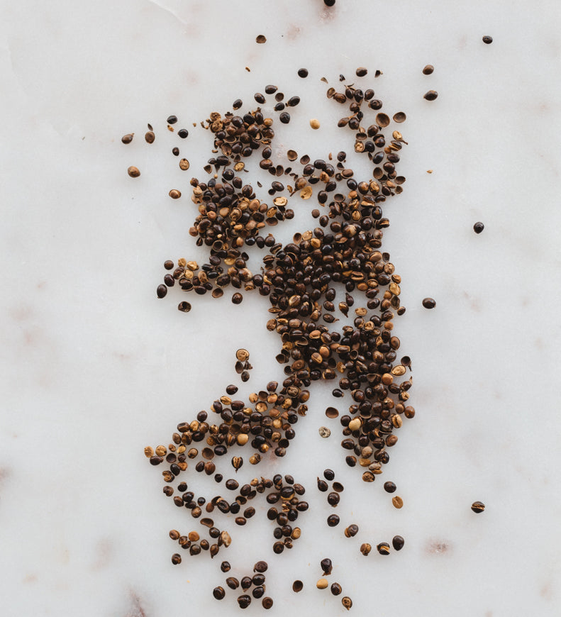 Top-down view of loose wattleseed scattered on a white marble background.